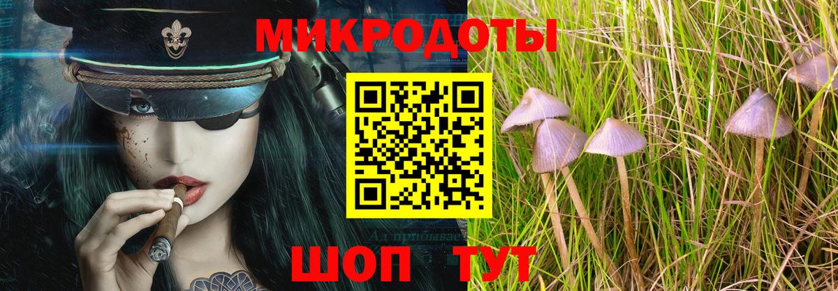Советск  Галлюциногенные грибы Magic Shrooms  Вход с VPN  закладка  Галлюциногенные грибы MAGIC MUSHROOMS 