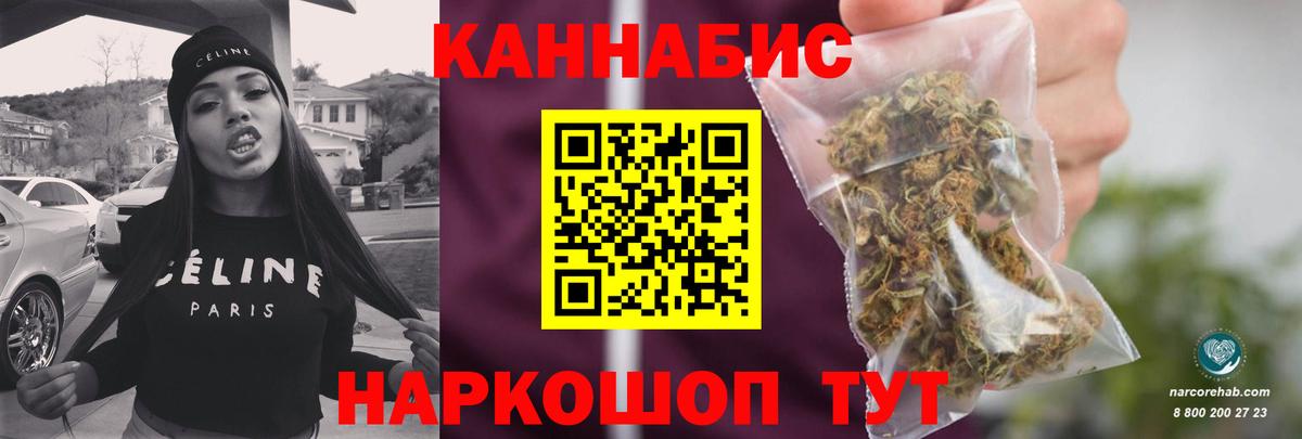 Бошки Шишки план Советск